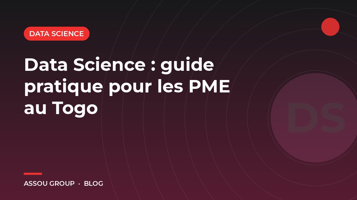 Data Science : guide pratique pour les PME au Togo
